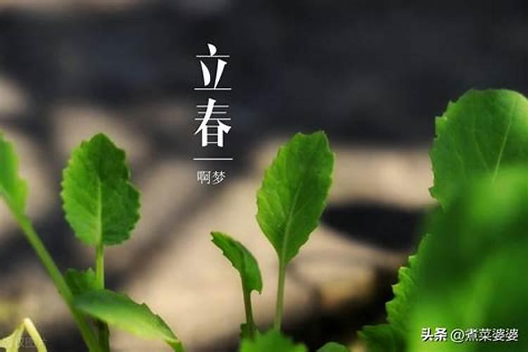 立春有什么风俗禁忌呢