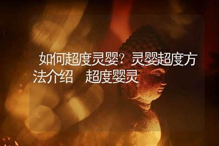 1980年十一月初一未时出生的女命