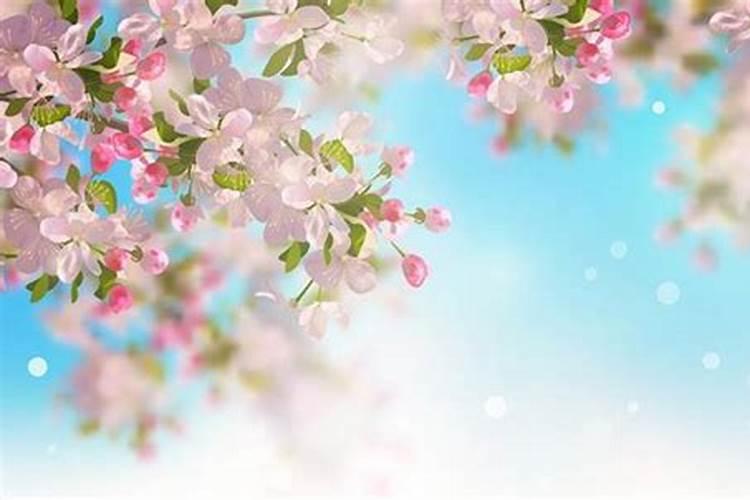 我是1996年九月初九(重阳节)早晨八点十分出生的(男) 这是什么命啊？