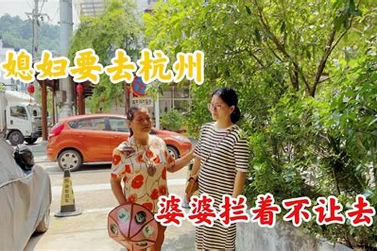 冬至代表性植物是什么