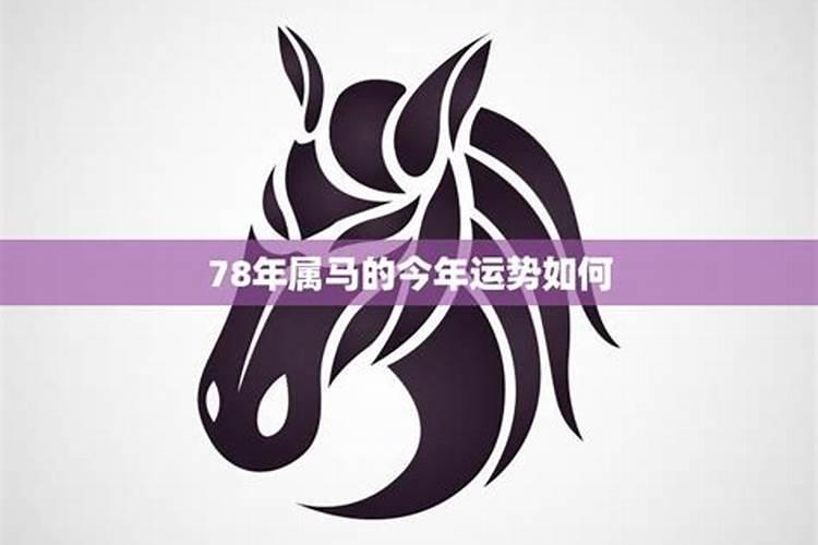 属马1978年46岁走大运 76年属马人46岁运势