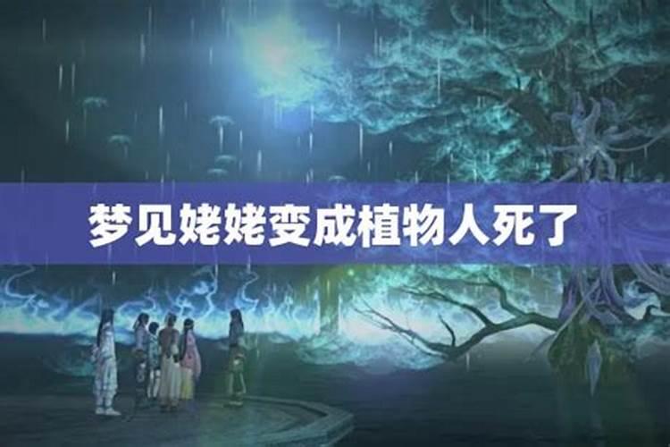 梦到去扫墓是什么意思？