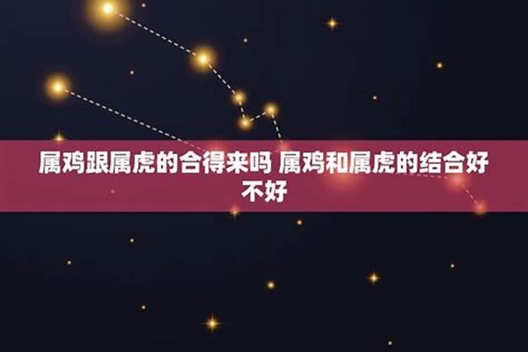 93年属鸡男和86年属虎女在一起可以吗？
