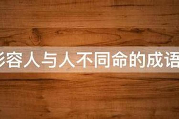 同人不同命下一句是什么