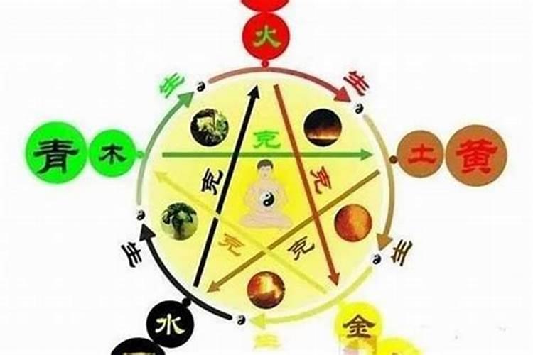 五行土旺缺木怎么办