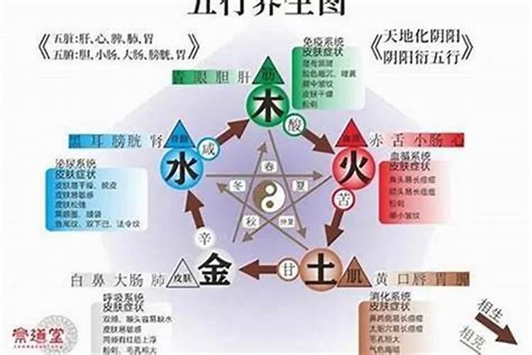 五行土旺缺木怎么办