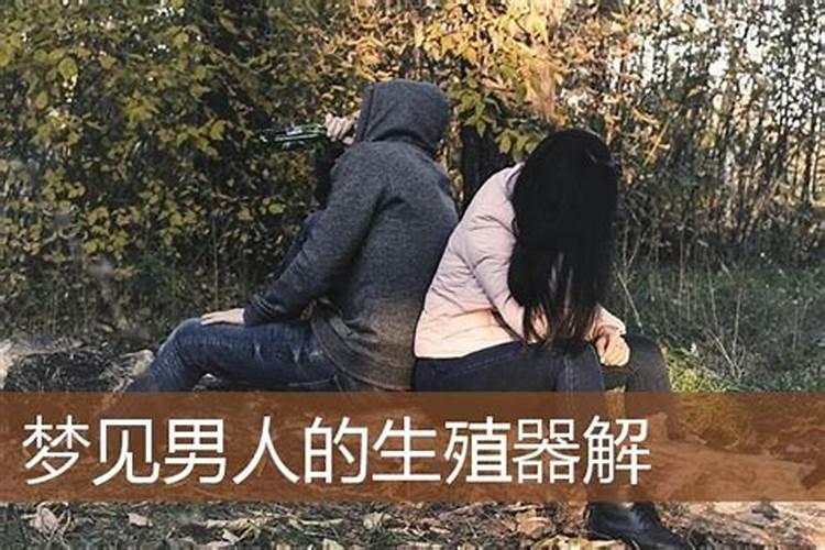梦见男人生殖的预兆