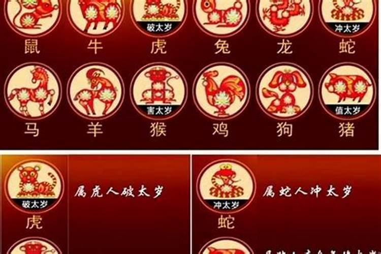 属龙的两个人在一起合不合财