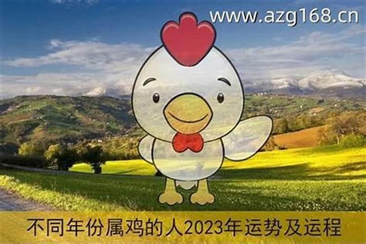 1981年属鸡人一生命运如何,1981年属鸡人的后半生命运