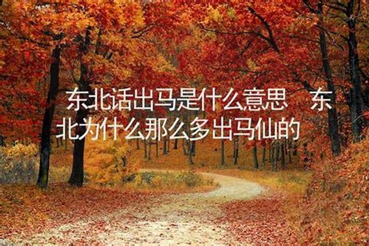 东北怪谈之猎狐凶手是谁