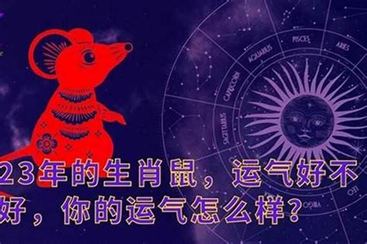 属狗和属鸡的合不合适做夫妻 属狗能和属鸡的结婚吗