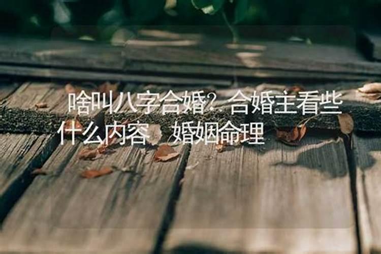 两个人合不合是看属相还是看八字八字合婚的注意事项？