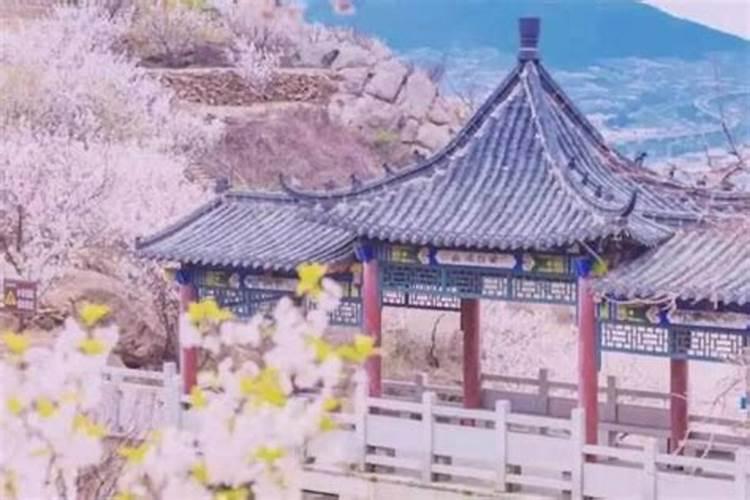 青岛清明节适合去哪里旅游