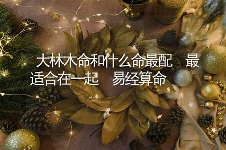 木命和什么命搭配好
