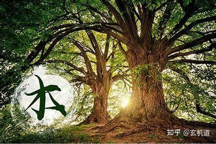 大林木和石榴木配婚如何？(算命)
