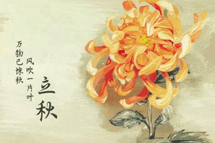上海万佛寺网上施粥是真是假