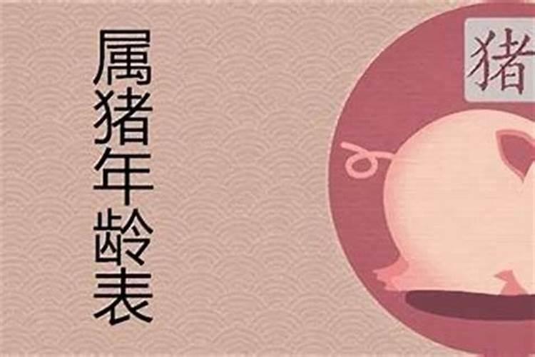 属猪的是哪年出生的人呢2024今年多大
