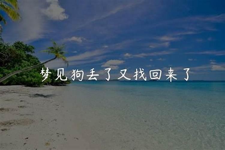 梦见狗丢了又找到了