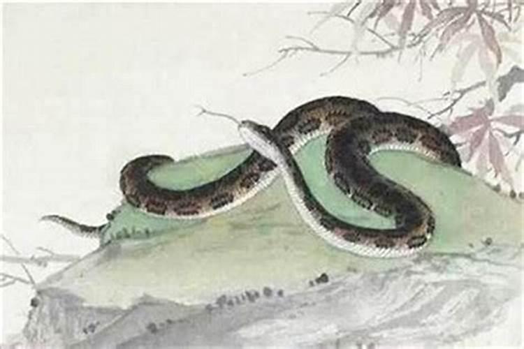 柳林盘子会历史渊源