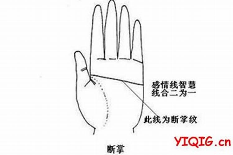 金箔金命基本资料