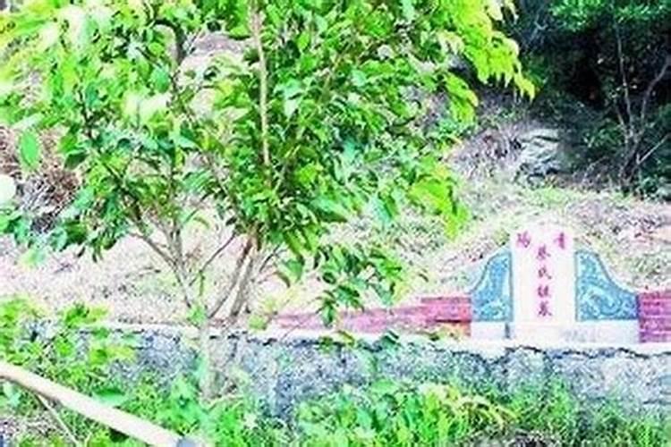 中元节坟能添土吗(中元节坟地能动土吗)