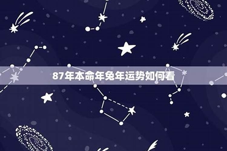 子午卯酉哪个桃花最旺最幸福