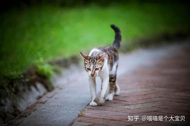 家中要发横财前的预兆横财要飞来的三种征兆你满足