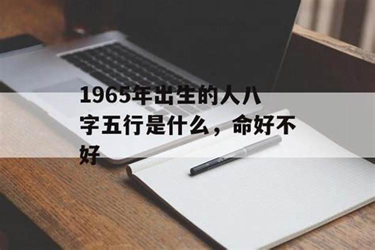 生肖鼠2025年运势 属鼠2025年运势及运程