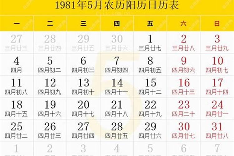 1981年5月8号阴历出生的一年运势如何