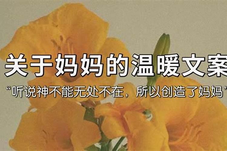 精选冬至祭奠父母亲的句子【45句】