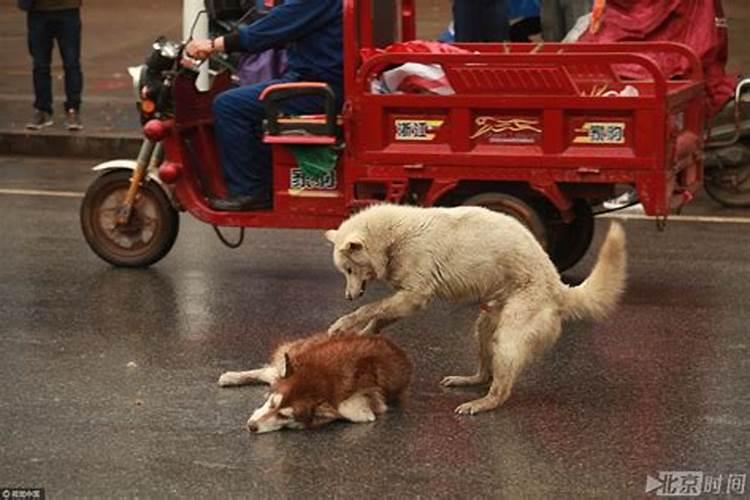 烧纸的元宝怎么折