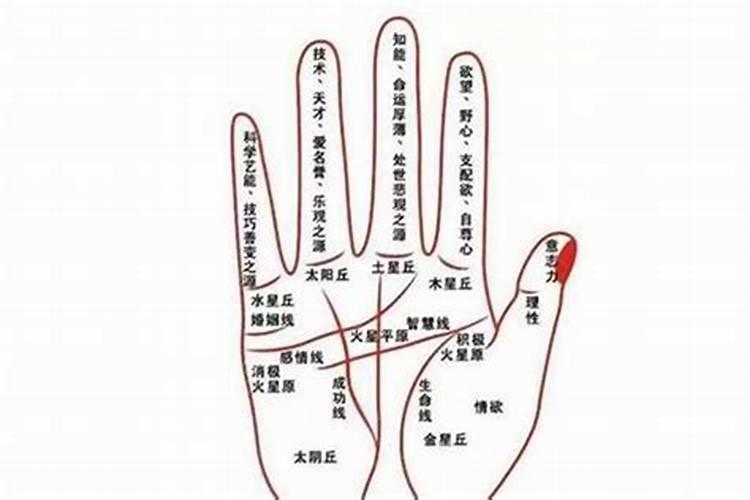四柱断婚姻口诀大全