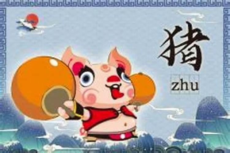 今年属猪运气很不好怎么转运