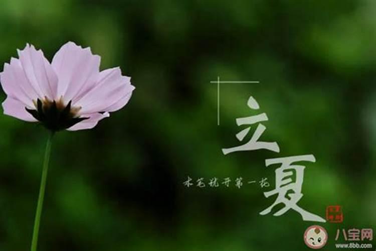 立夏过了算是夏天了吗