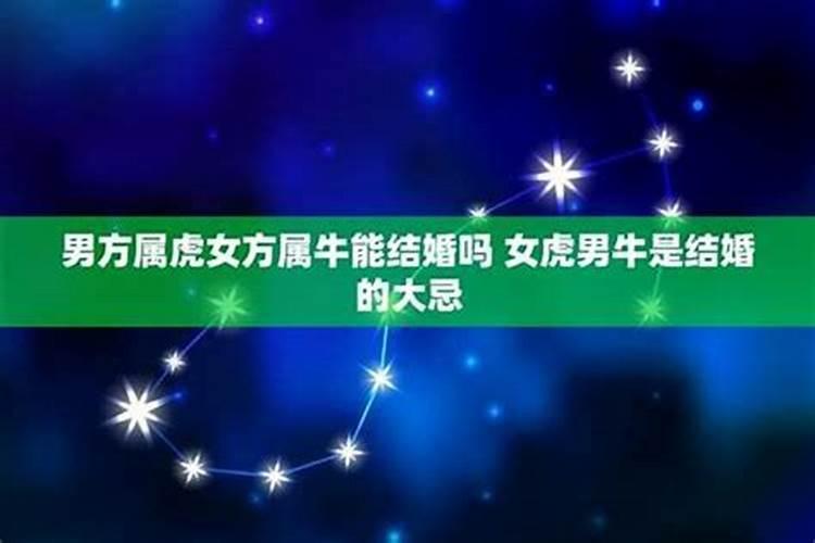 男:羊1991年9初8 女:牛1997年2月初4 这两个八字婚姻合适吗？
