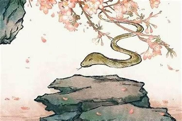 属蛇人今年运势2025年运势如何