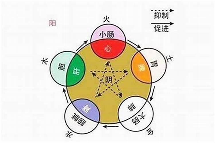 元宵节的传统文化和风俗