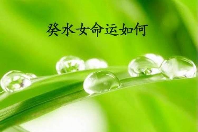 2025年属蛇人的全年运势女性