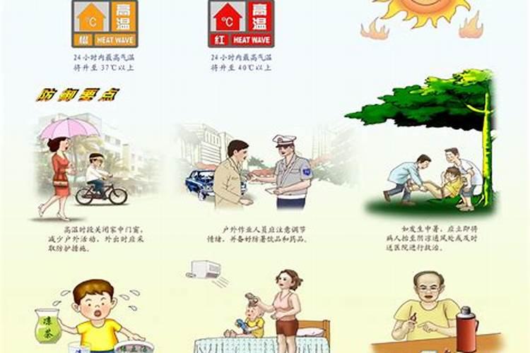 海南立夏种什么菜合适