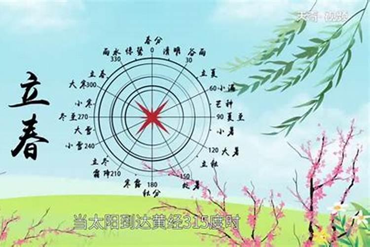 海南立夏种什么菜最合适