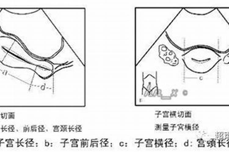 八字的命宫身宫什么意思,命宫详解一生