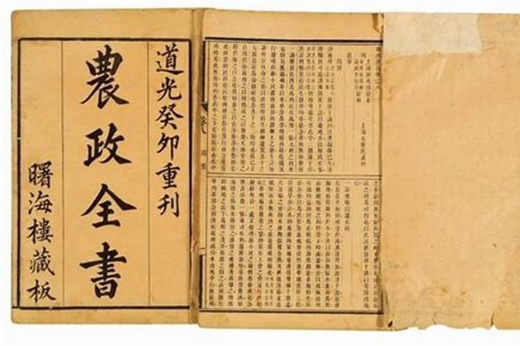 梦见和别的女人暧昧是什么意思是什么