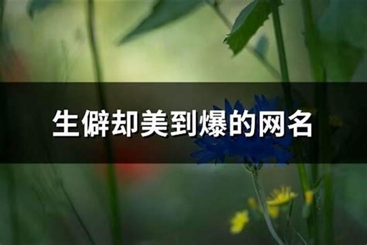 有没有什么免费的又准的八字算命的软件啊,求推荐