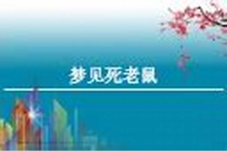 周公解梦梦到死老鼠