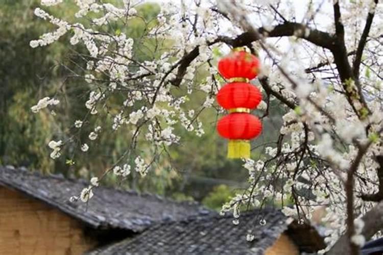 清远市元宵灯会在哪里举行