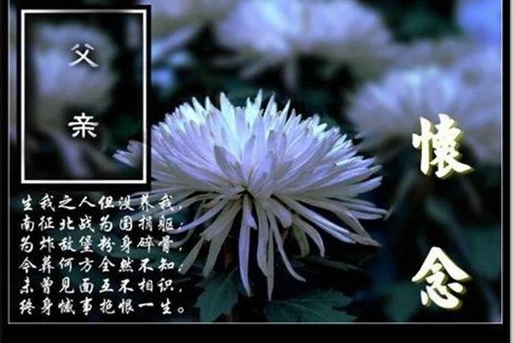 地支三合及三合局的八字解析