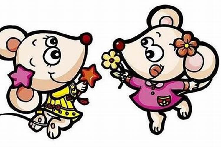 八字合婚中天干地支皆会合什么意思？来个人讲解下!