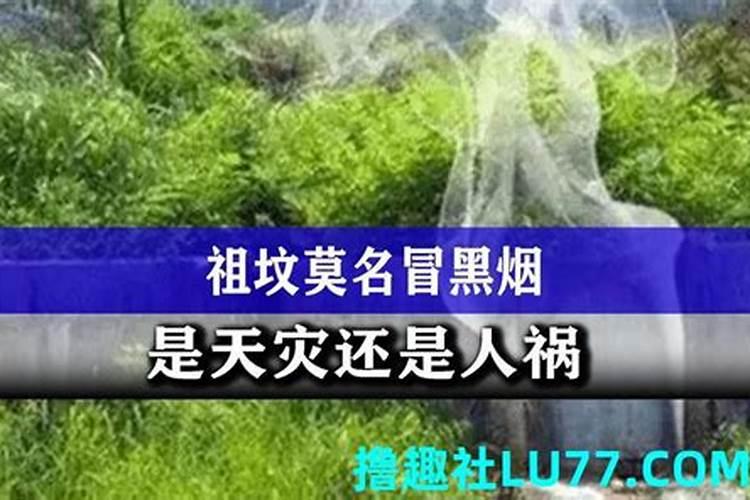 梦见坟墓上冒烟