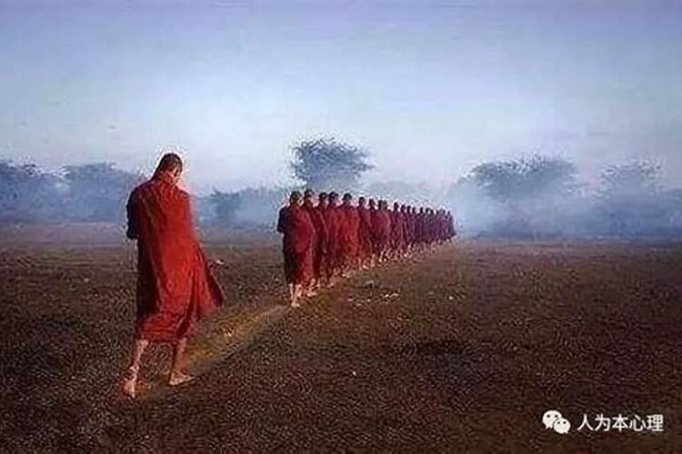 属猪人的一生命运