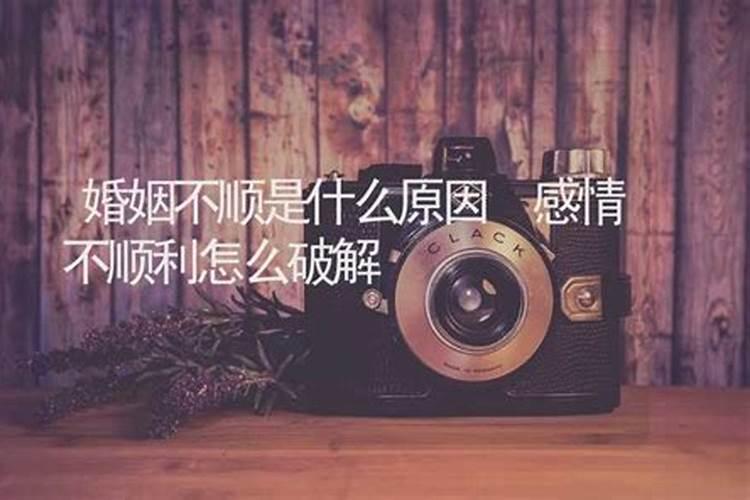 申字旁的字有哪些